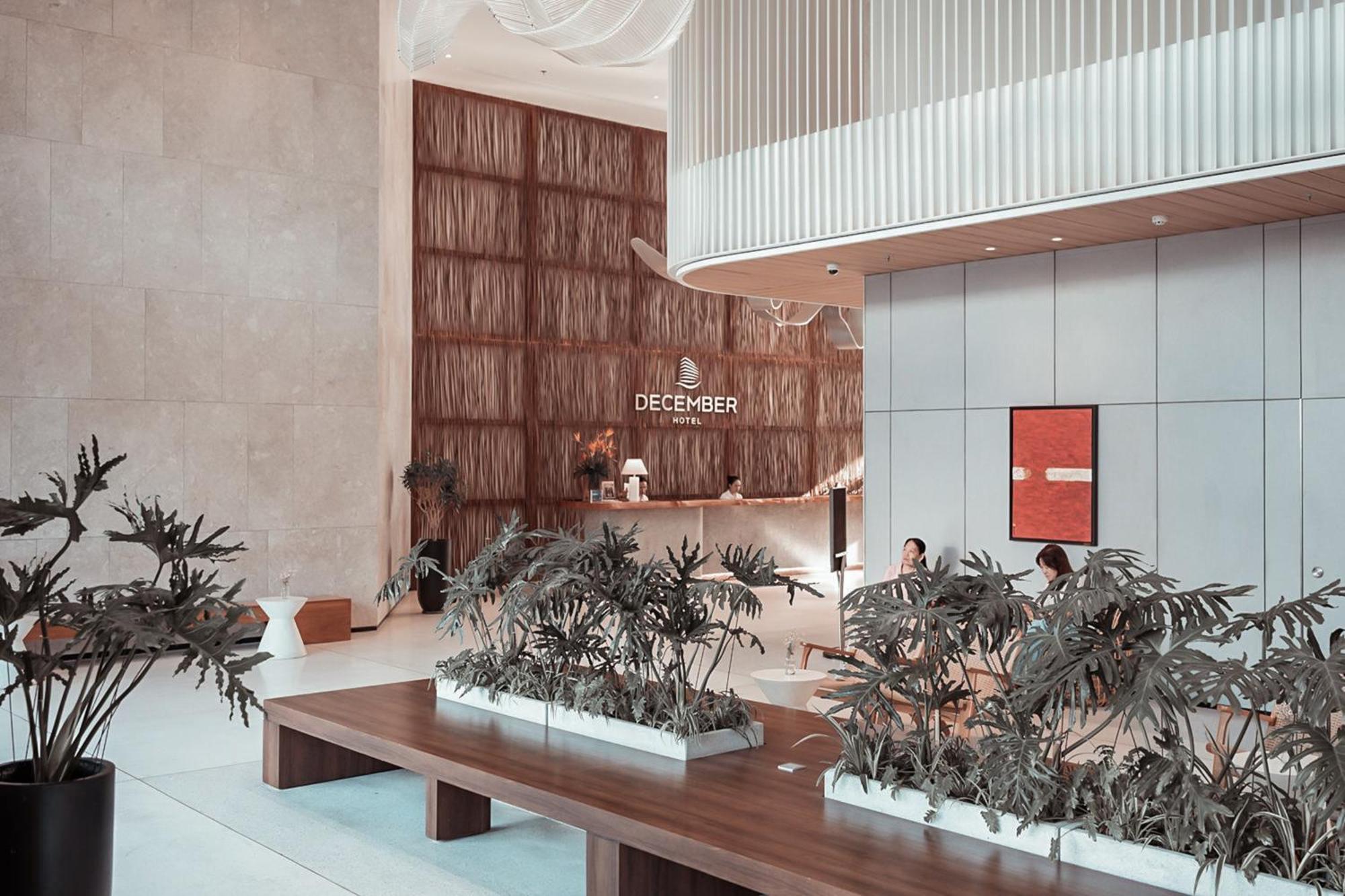 December Hotel 芽庄 外观 照片